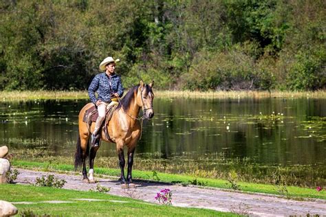 Booking Horseback Ride