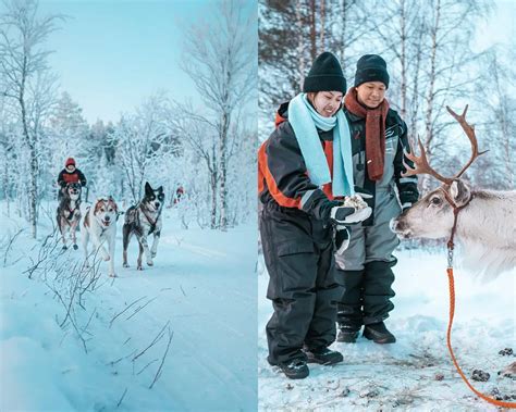 Booking Your Husky Walk Adventure