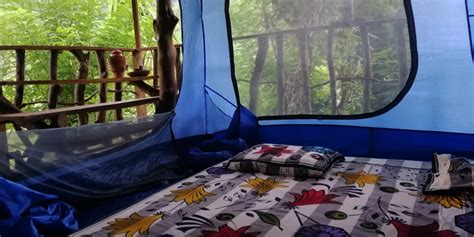 Booking Knuckles Camping Tour