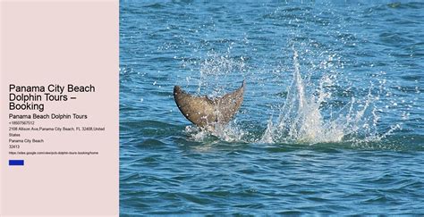 Booking Panama Tours