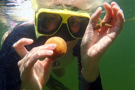 Booking Scallop Hunt