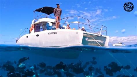 Booking Tour Honolulu