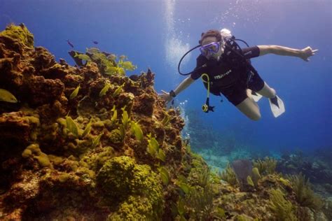Booking a diving adventure