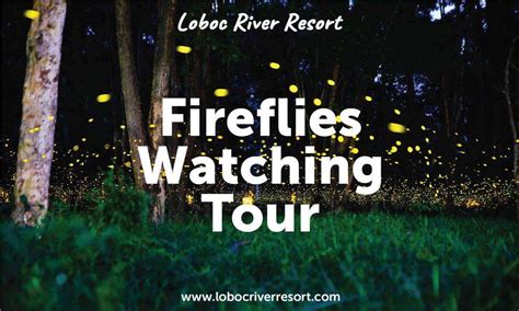 Booking firefly tour