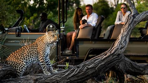 Booking safari tips