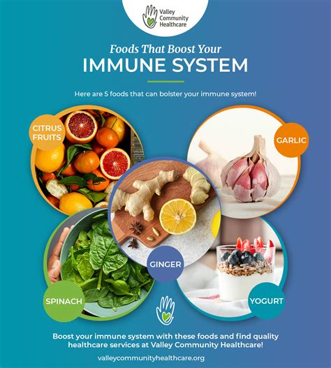 Boost Immunity: Nutrition After Vaccination