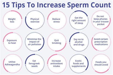 Boost Sperm Count: Fast Facts & Solutions