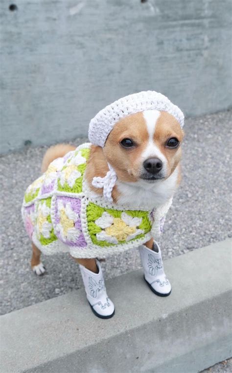 Boot Scootin Crochet