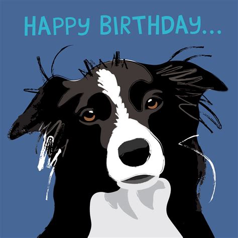 Border Collie Birthday Meme: The Perfect Way To Celebrate Your Furry
Friend's Big Day