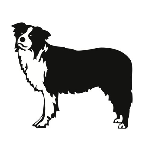Border Collie Silhouette Png: Everything You Need To Know In 2023