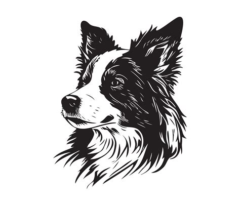 Border Collie Outline Cliparts.co