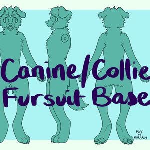 AJ Border Collie Reference Sheet by Malakai on DeviantArt