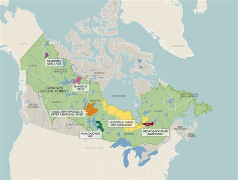 Canada's Boreal Forest region is likely to a refuge for species