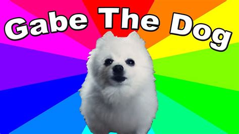 Bork Dog Meme
