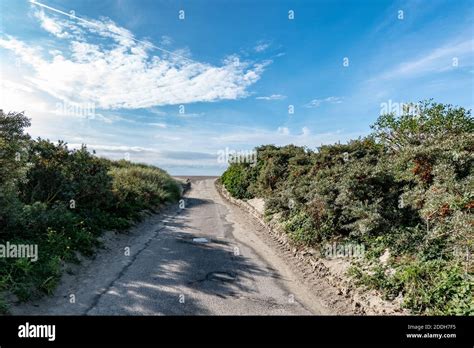 Borkum landscape