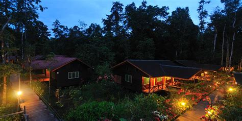 Borneo accommodation jungle resort