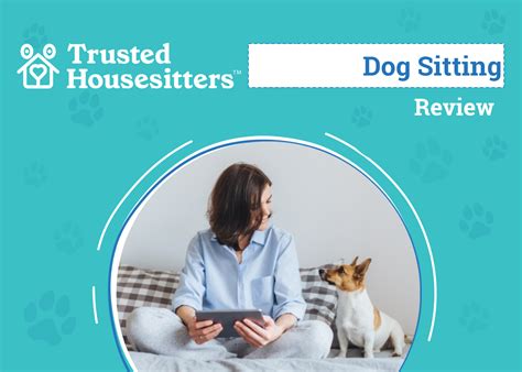Borough Breakdown Dog Sitting Trends