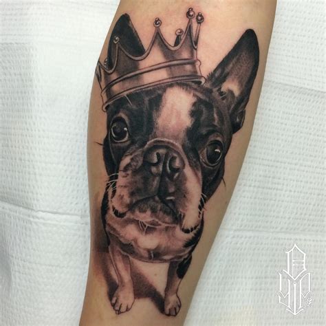 Top 15 Boston Terrier Tattoos Littered With Garbage