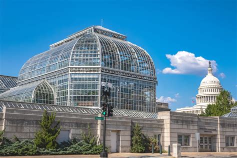 Botanic Gardens Dc