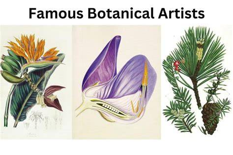 Botanical Art History