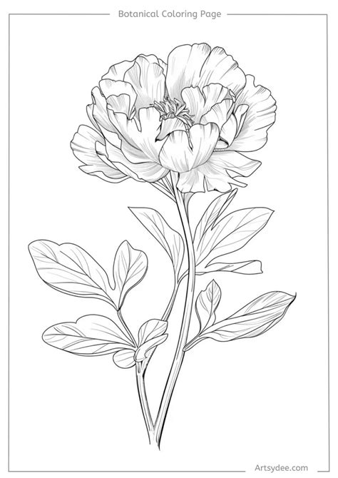 Botanical Coloring Pages