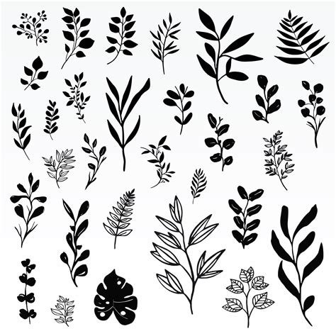 Download Botanical Leaves Svg Bundle Cut Files