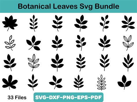 Download Botanical Leaves Svg Bundle Files For Crafts