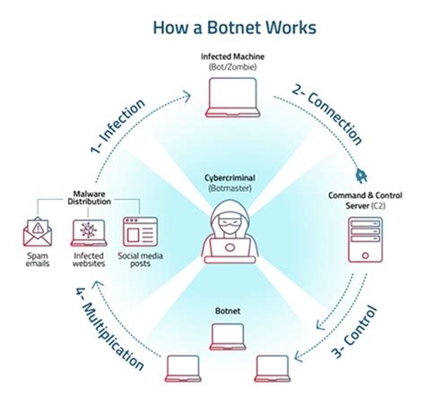 Botnets can be expend to feast malware
