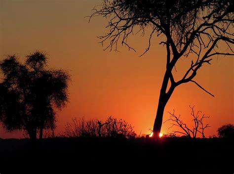 Botswana Sunrise