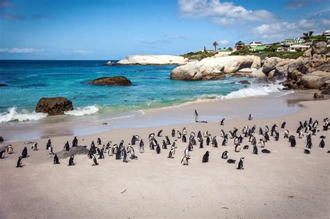 Boulders Beach