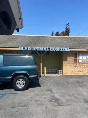 Expert Veterinary Care at Boulevard Animal Hospital Long Beach, CA - Your Pet's Health is Our Priority!