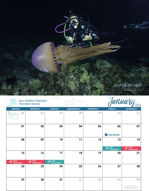 Box Jellyfish Hawaii Calendar
