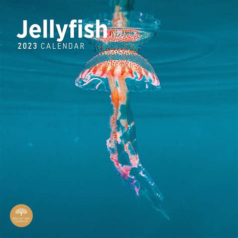 Box Jellyfish Calendar