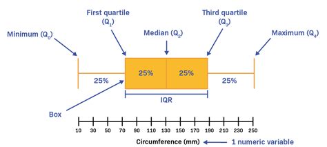 Box Plot: Membaca, Interpretasi, & Contoh Mudah
