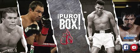 Boxeo Telemundo en Vivo