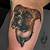 Boxer Dog Tattoo Designs