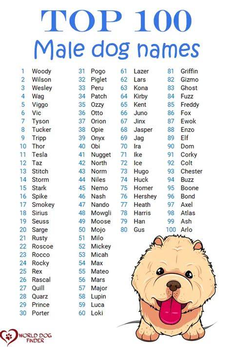 Boy Dog Names For Small Dogs