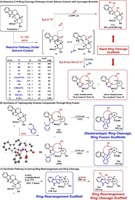 BrCN Hybridization