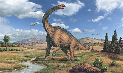 Pengenalan Brachiosaurus