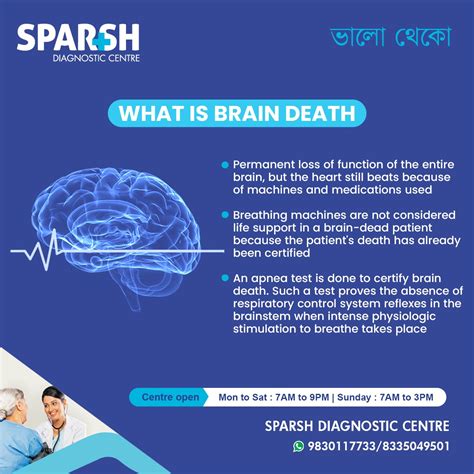 Brain Death: Understanding Signs, Causes & Help.