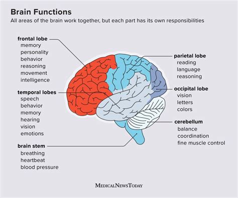 Brain Games for Cognitive Function