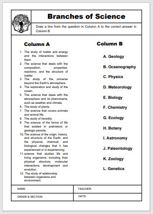 Branches Of Science Worksheet