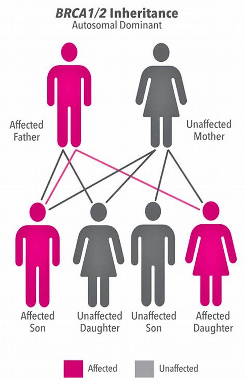 Brca1 Inheritance Pattern