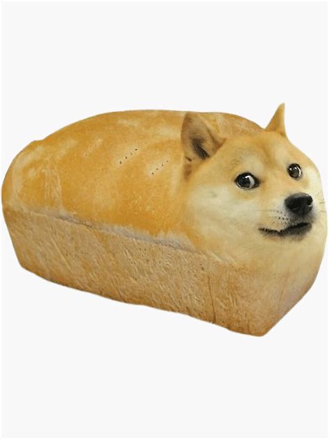 Bread Dog Meme