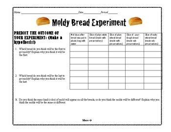 Bread Mold Experiment Worksheet