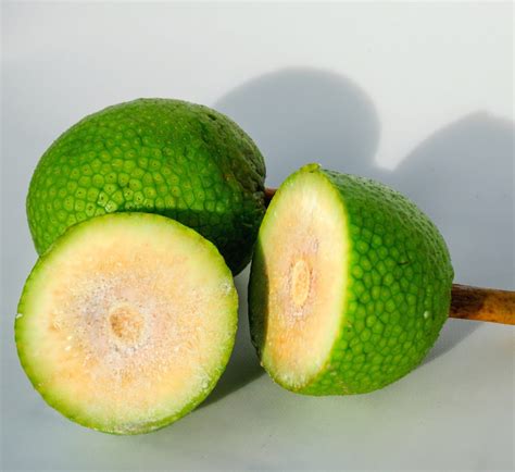 Breadfruit Image