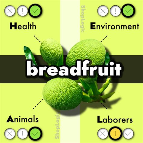 Breadfruit Sustainability