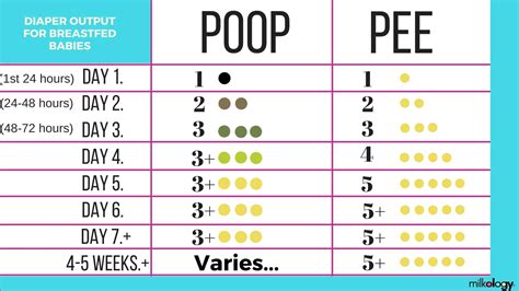 Breast Fed Baby Poop Chart