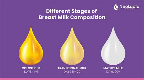 Breast Milk & Formula: Seamlessly Combining Feeds.