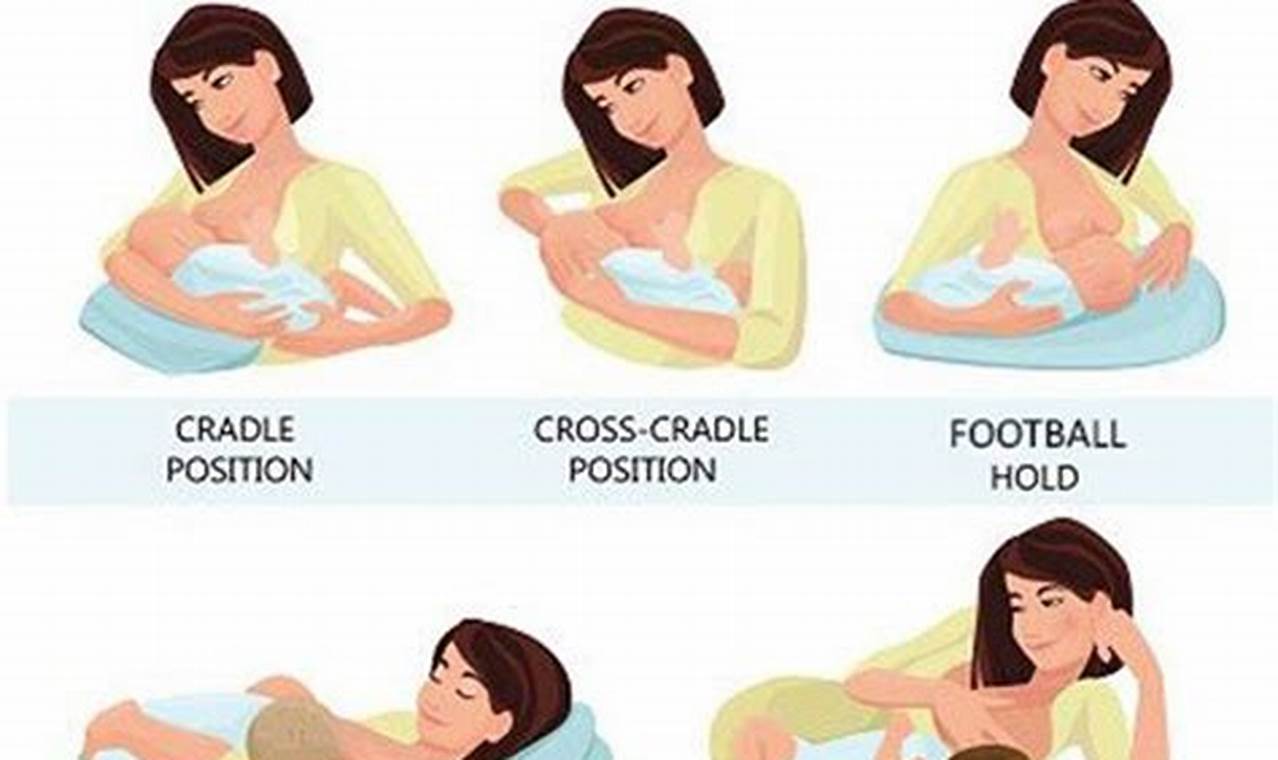 Breastfeeding positions and latch